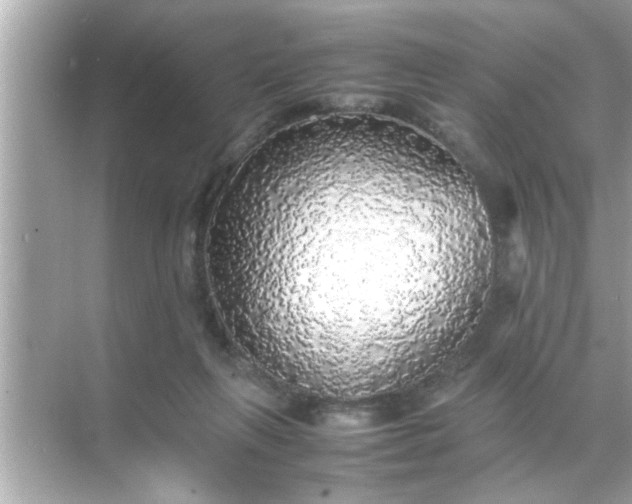 X0000070850263200606302027