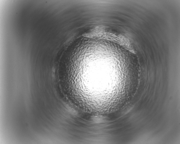 X0000070850269200606302028