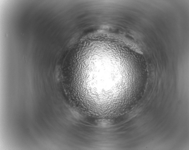 X0000070850273200606302028