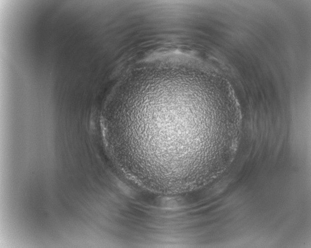 X0000070850277200606302028