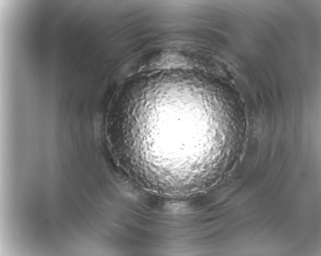 X0000070850283200606302028