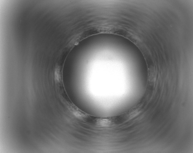 X0000070850287200606302028