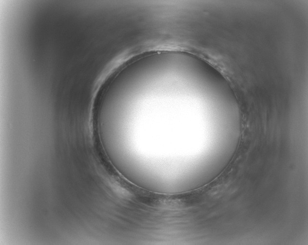 X0000070850296200606302027