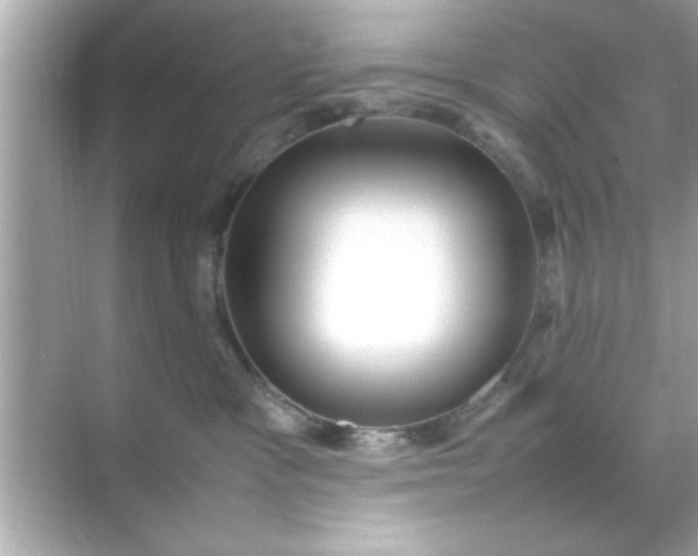 X0000070850333200606302026