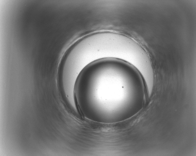X0000070850344200606302026