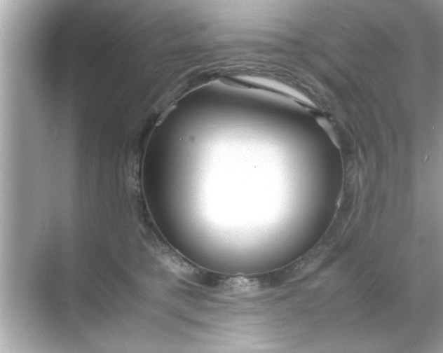 X0000070850421200606302025