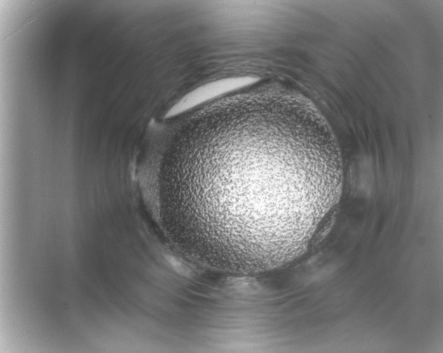 X0000070850424200606302025
