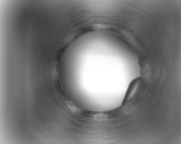 X0000070850426200606302025