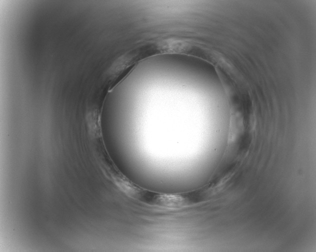 X0000070850429200606302025