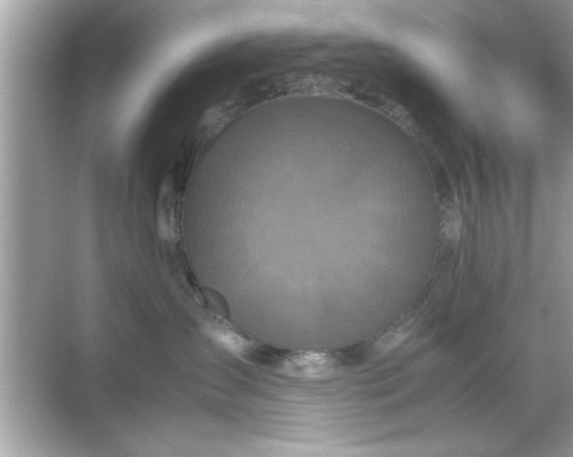 X0000070850431200606302025