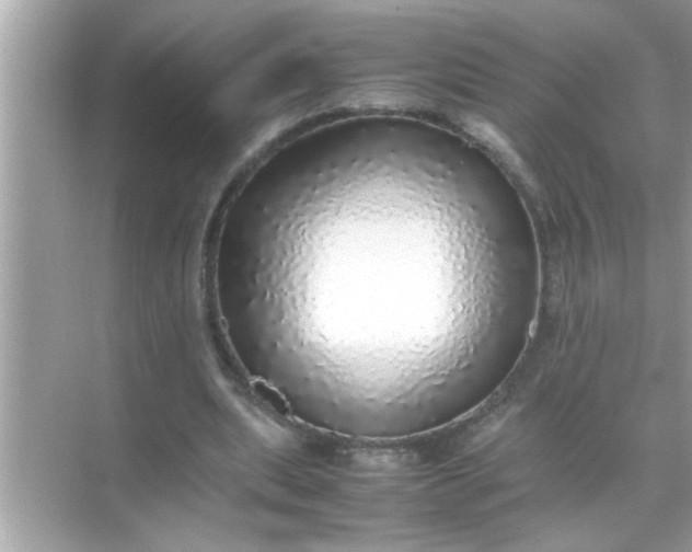X0000070850439200606302024