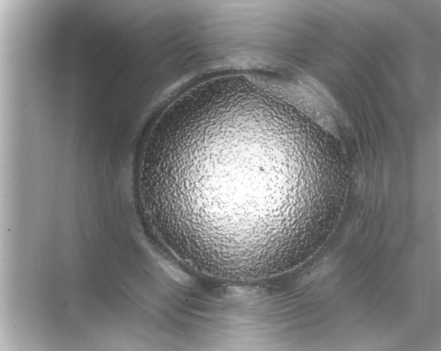 X0000070850442200606302024
