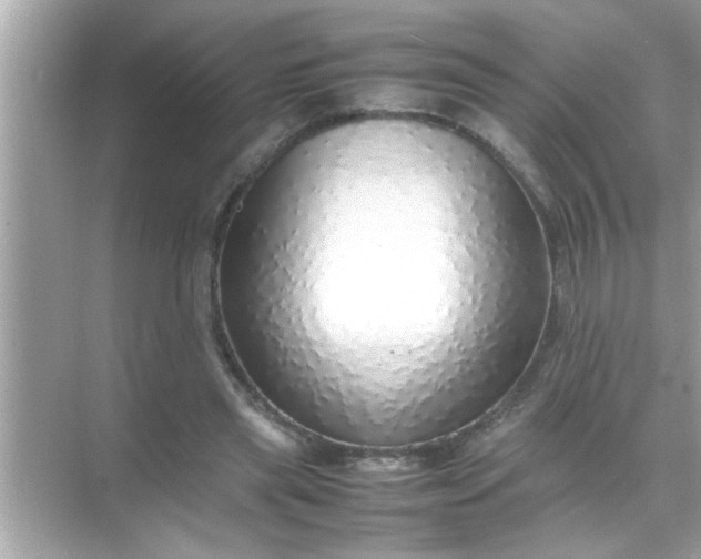 X0000070850445200606302024