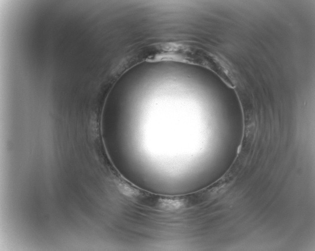 X0000070850469200606302024