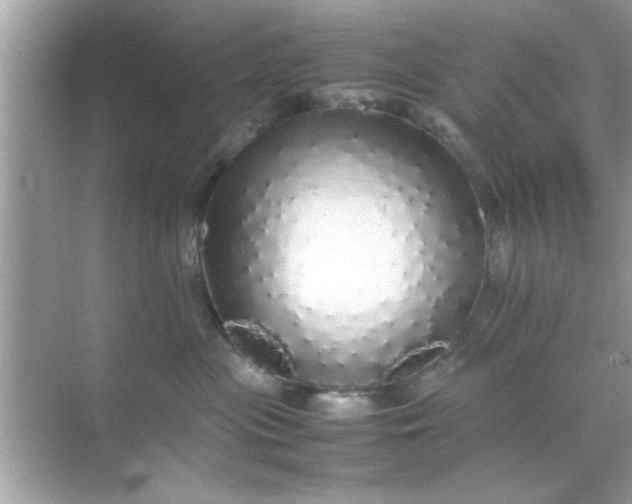 X0000070850477200606302025