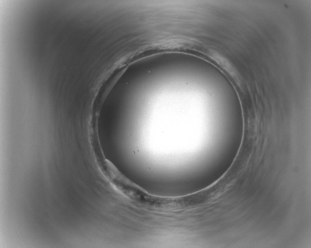 X0000070850485200606302024