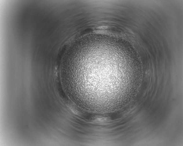 X0000070850555200606302023