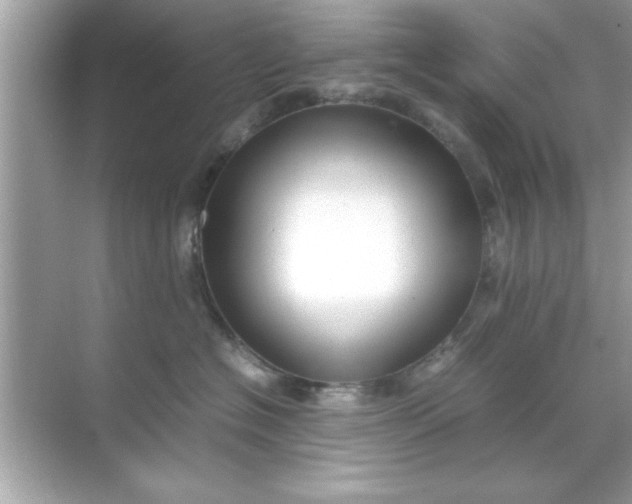 X0000070850574200606302023