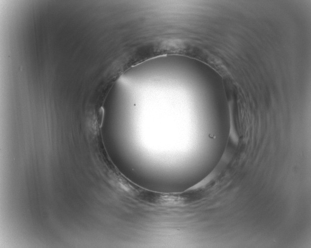 X0000070850617200606302022