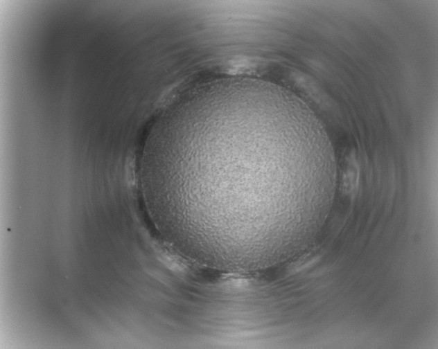 X0000070850620200606302021
