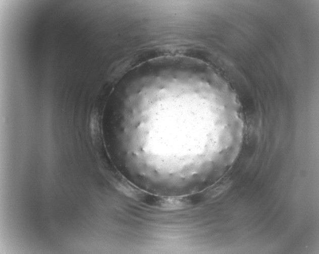 X0000070850623200606302021