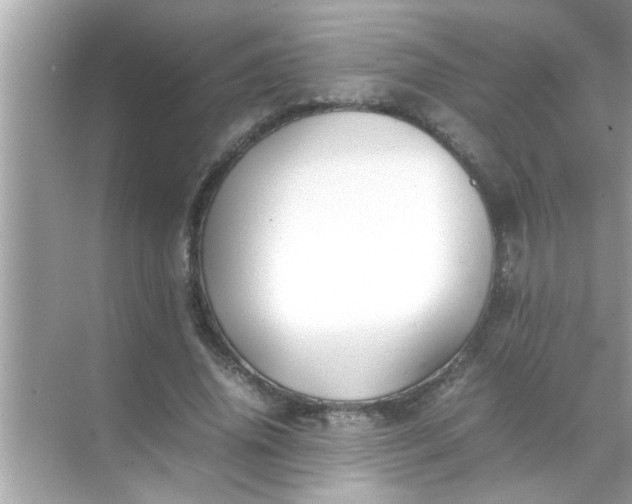 X0000070850636200606302021