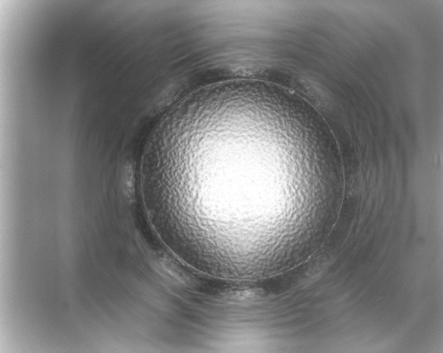 X0000070850646200606302021