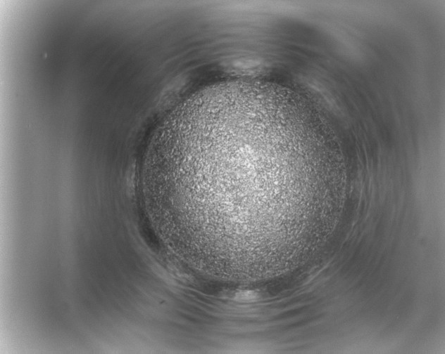 X0000070850647200606302021