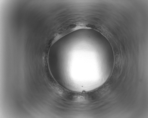 X0000070850655200606302021