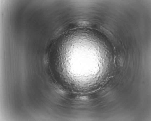 X0000070850665200606302021