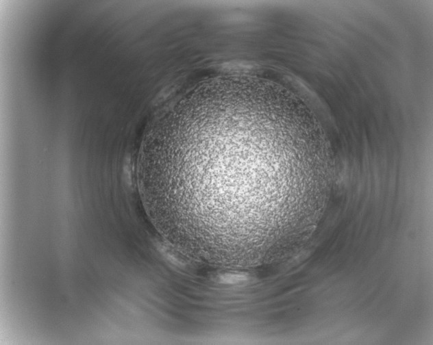X0000070850669200606302021