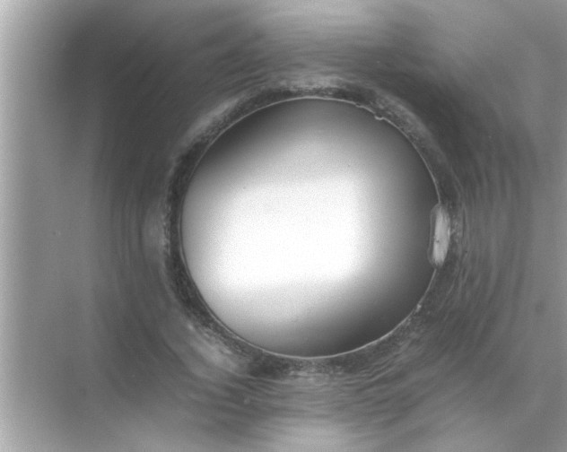 X0000070850732200606302019