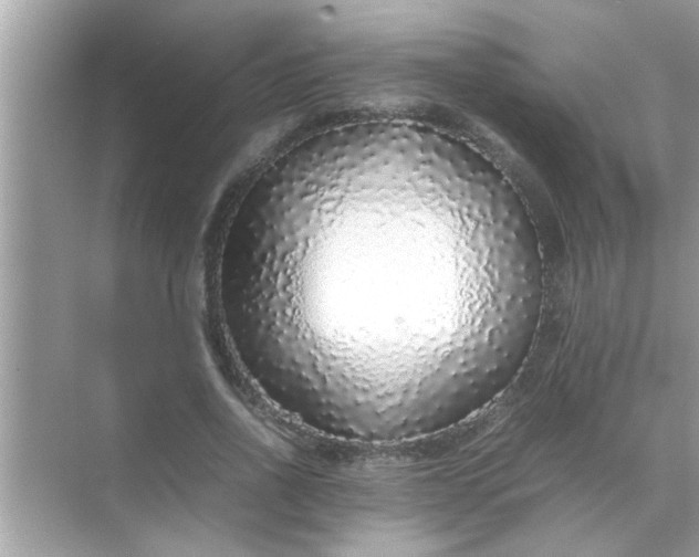 X0000070850734200606302019