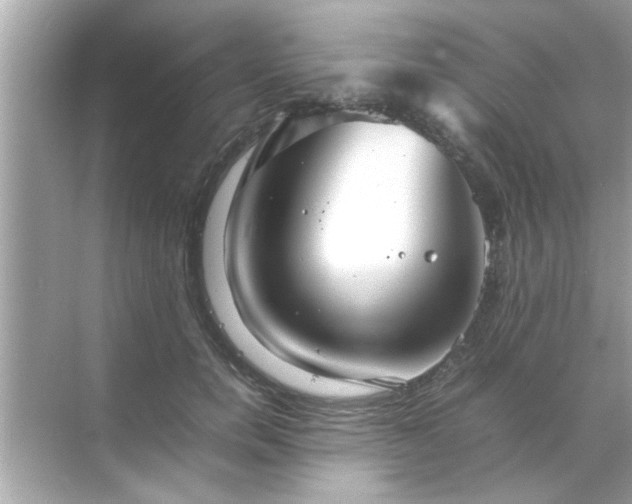 X0000070850750200606302019