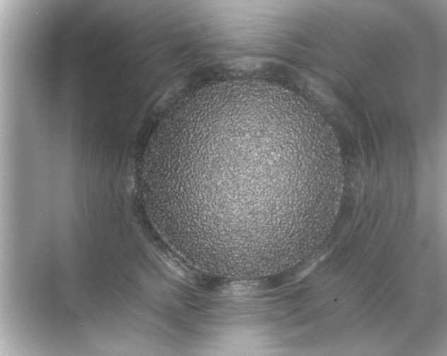 X0000070850758200606302020