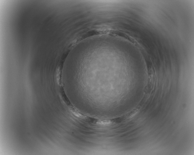 X0000070850767200606302020