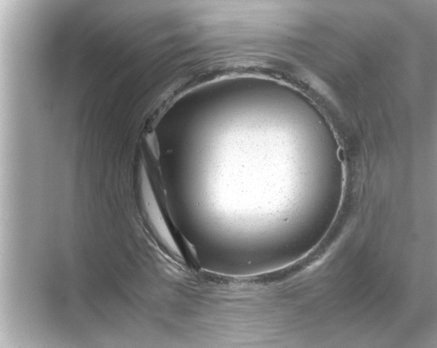 X0000070850777200606302019