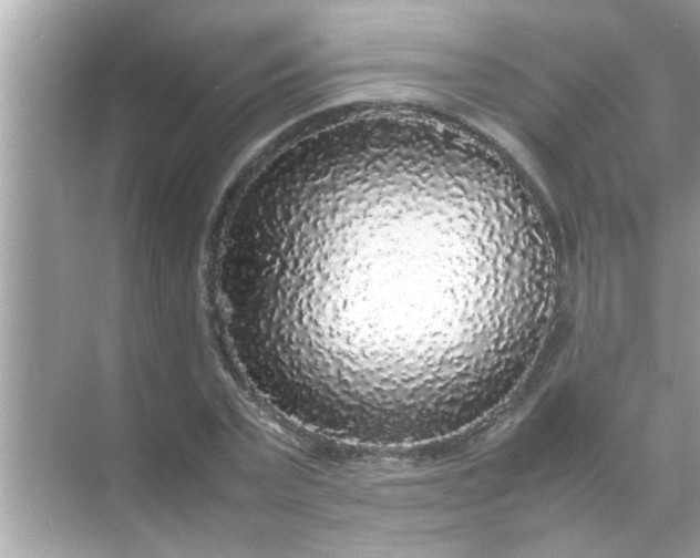 X0000070850783200606302019