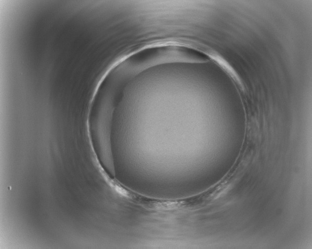 X0000070850813200606302018