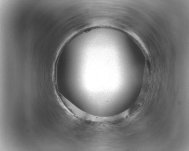 X0000070850815200606302018