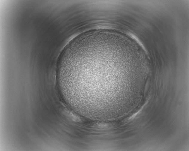 X0000070850829200606302018