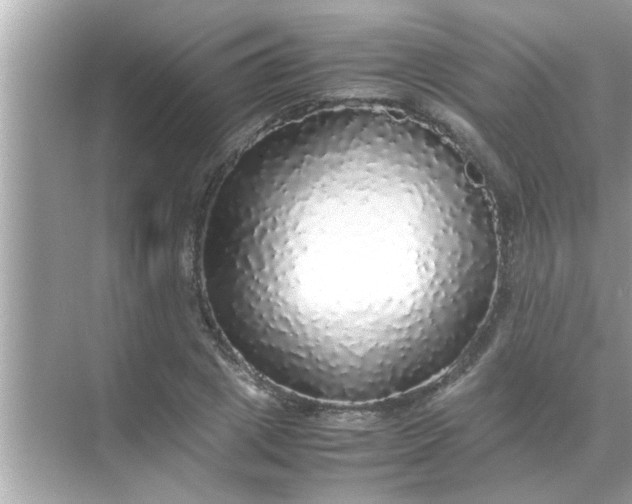 X0000070850833200606302018