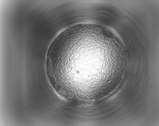 X0000070850845200606302018