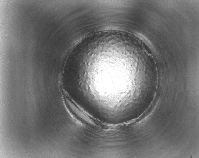 X0000070850849200606302018