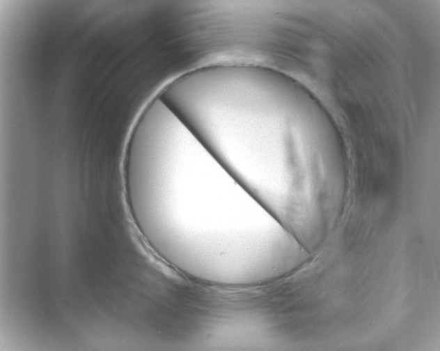 X0000070850864200606302018