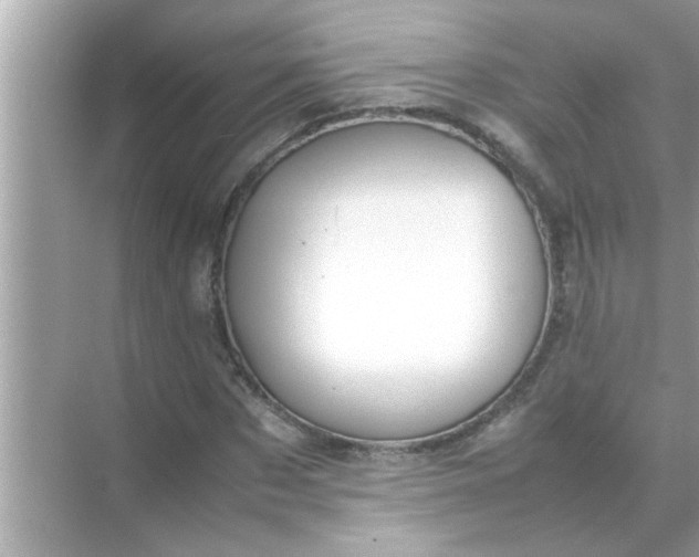 X0000070850873200606302017