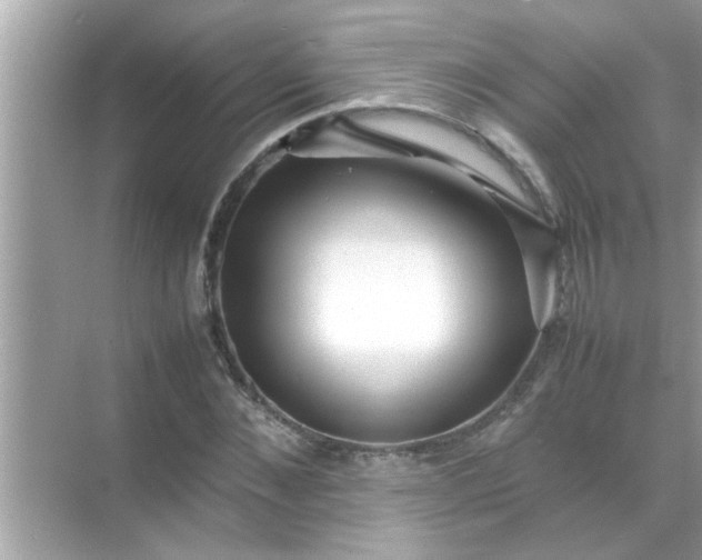 X0000070850876200606302017