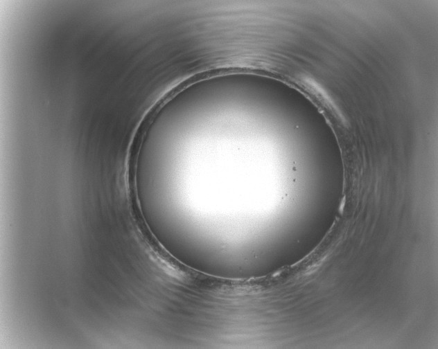 X0000070850884200606302017