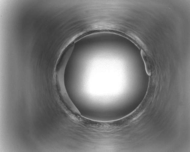 X0000070850885200606302017