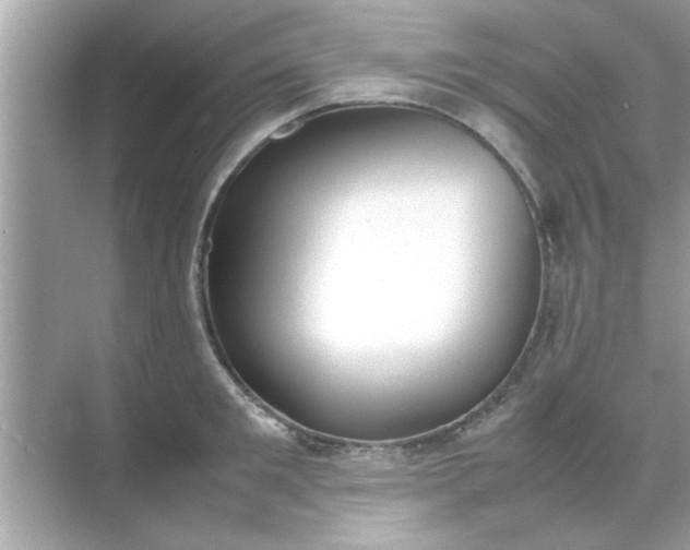 X0000070850901200606302017